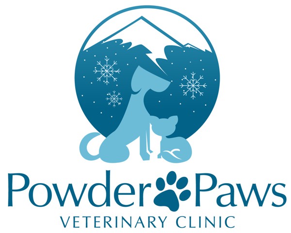 clinica veterinaria logotipo desenho animal petshop